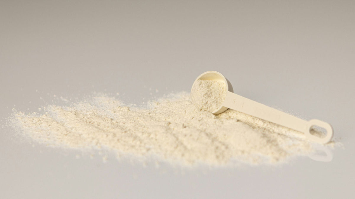 Protein Powder