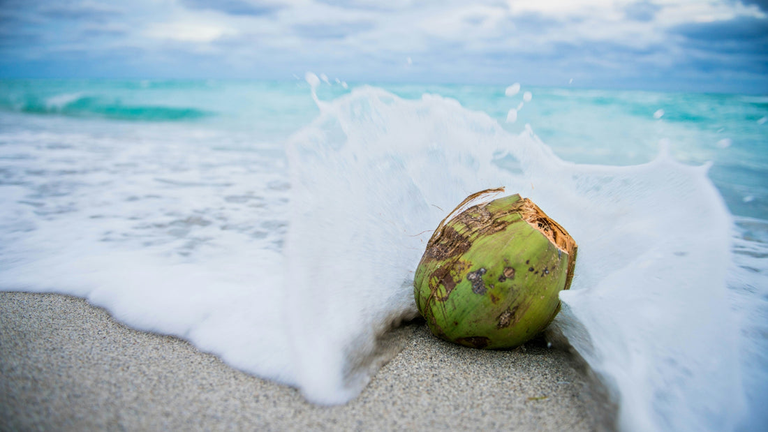 The Health Benefits of Coconut Water: A Comprehensive Guide