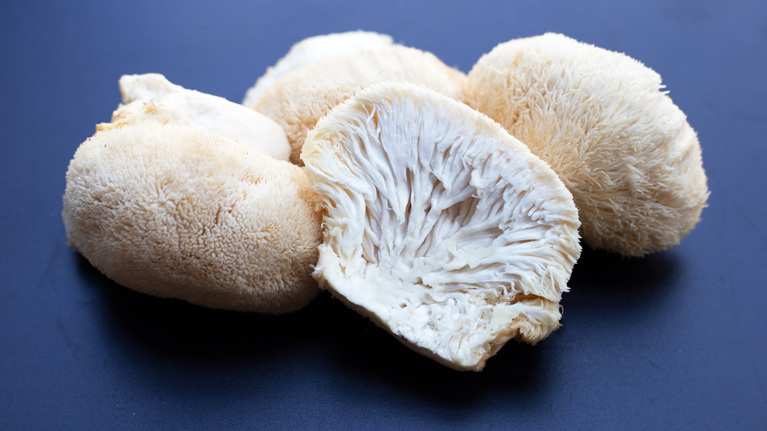 The Surprising Truth About Lions Mane Mushroom Revealed